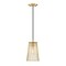 Designers Fountain Liana 60 Watt 1-Light Brushed Gold Glam Pendant Light with Wire Cage Shade D328M-6PA-BG - alternate 1